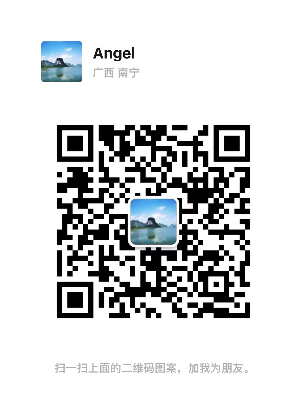 the qr code